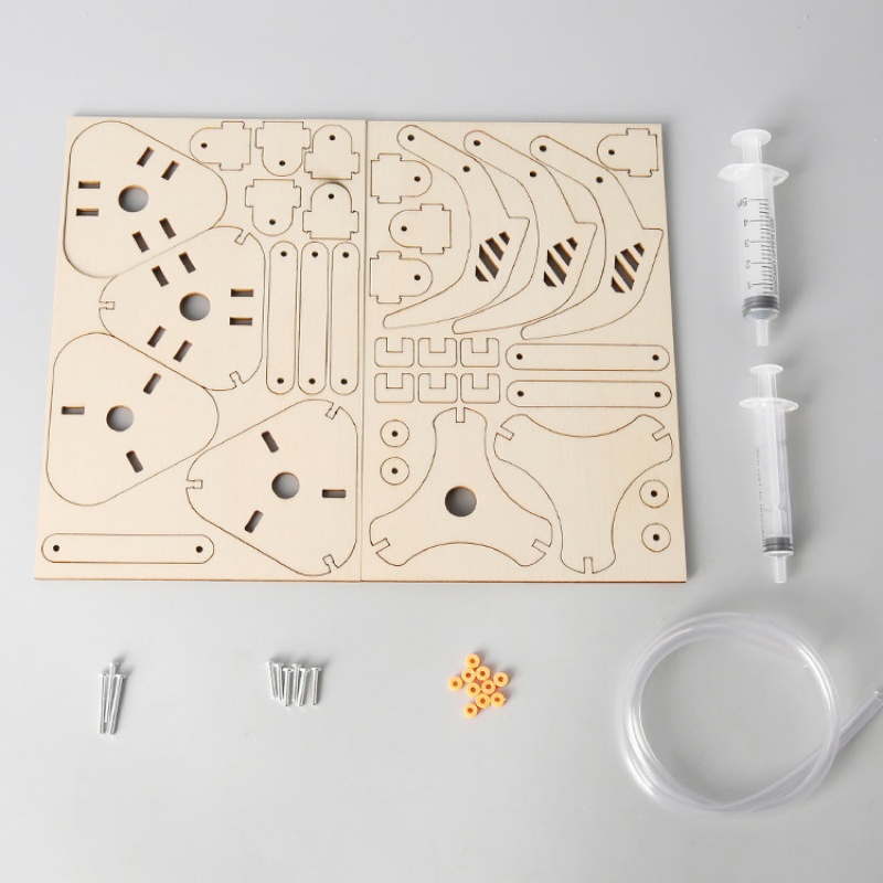 Mainan Model Penjepit Mekanis  - Science Project Kit ulasan dan harga